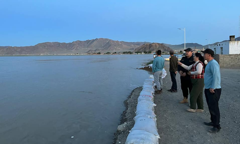 УРЬДЧИЛАН СЭРГИЙЛЭХ АРГА ХЭМЖЭЭ АВЧ АЖИЛЛАА.